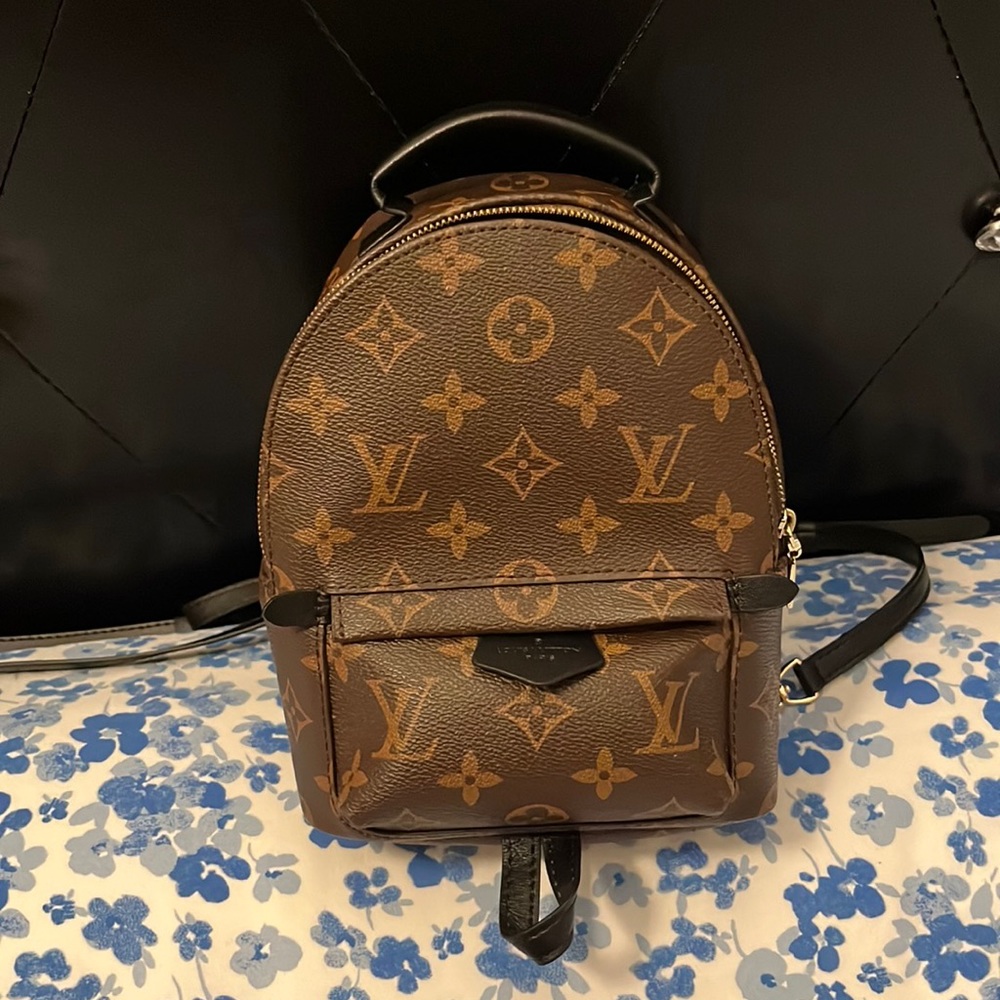 Louis Vuitton Palm Springs Purse *not authentic* super identical